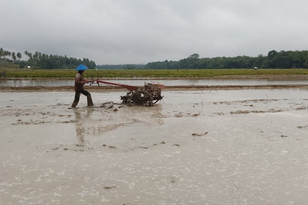 recent-project-img-1